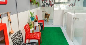 pet artificial grass and turf grass used in indoor dog kennel easygrass