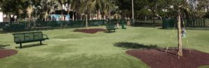 artificial grass and synthetic grass with rubber mulch in public dog park easygrass